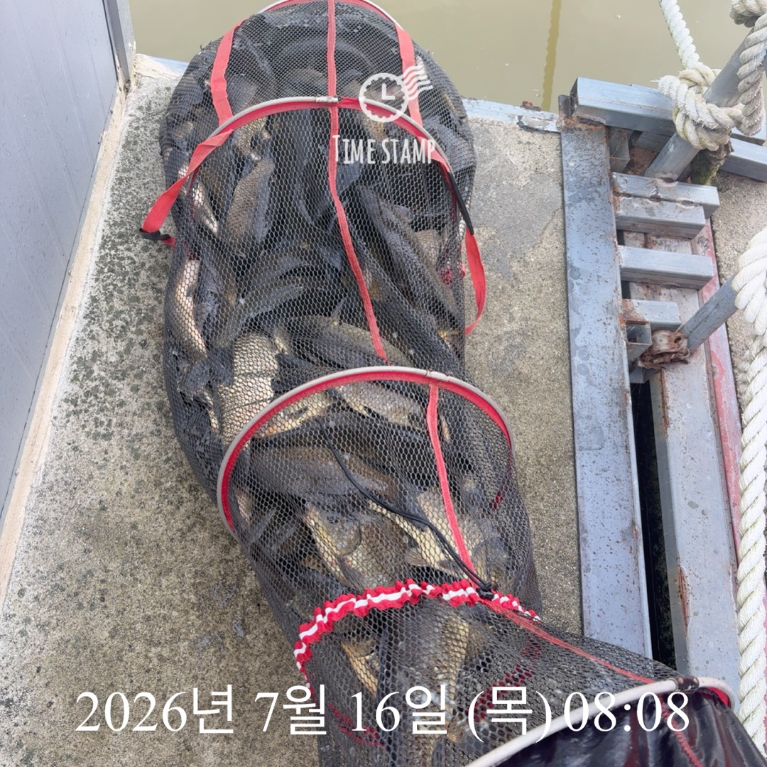 KakaoTalk_20260721_072304981_27.jpg