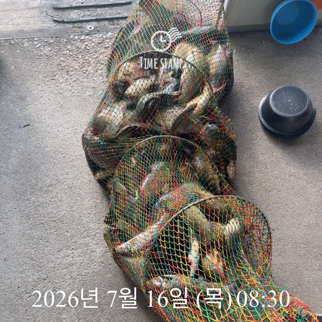 KakaoTalk_20260721_072304981_26.jpg