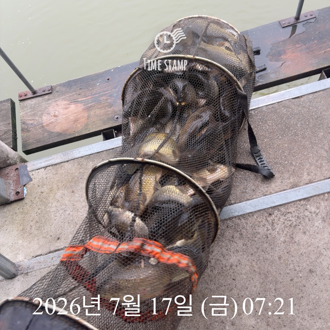 KakaoTalk_20260721_072304981_24.jpg