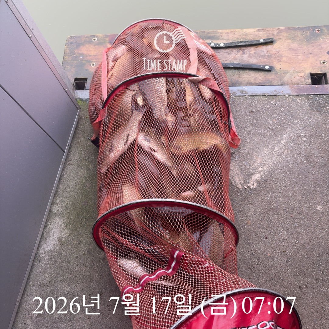 KakaoTalk_20260721_072304981_25.jpg