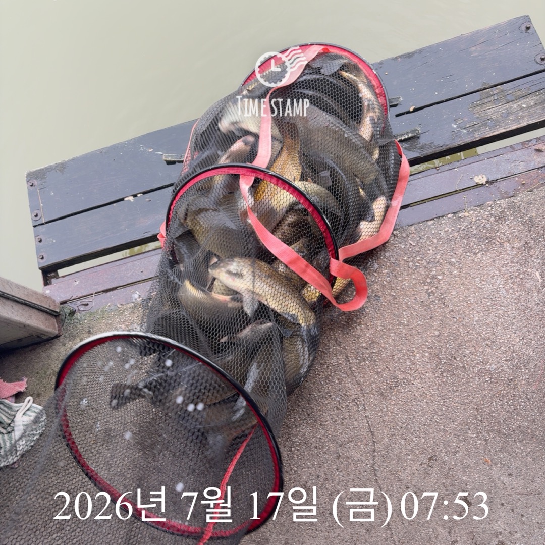 KakaoTalk_20260721_072304981_23.jpg