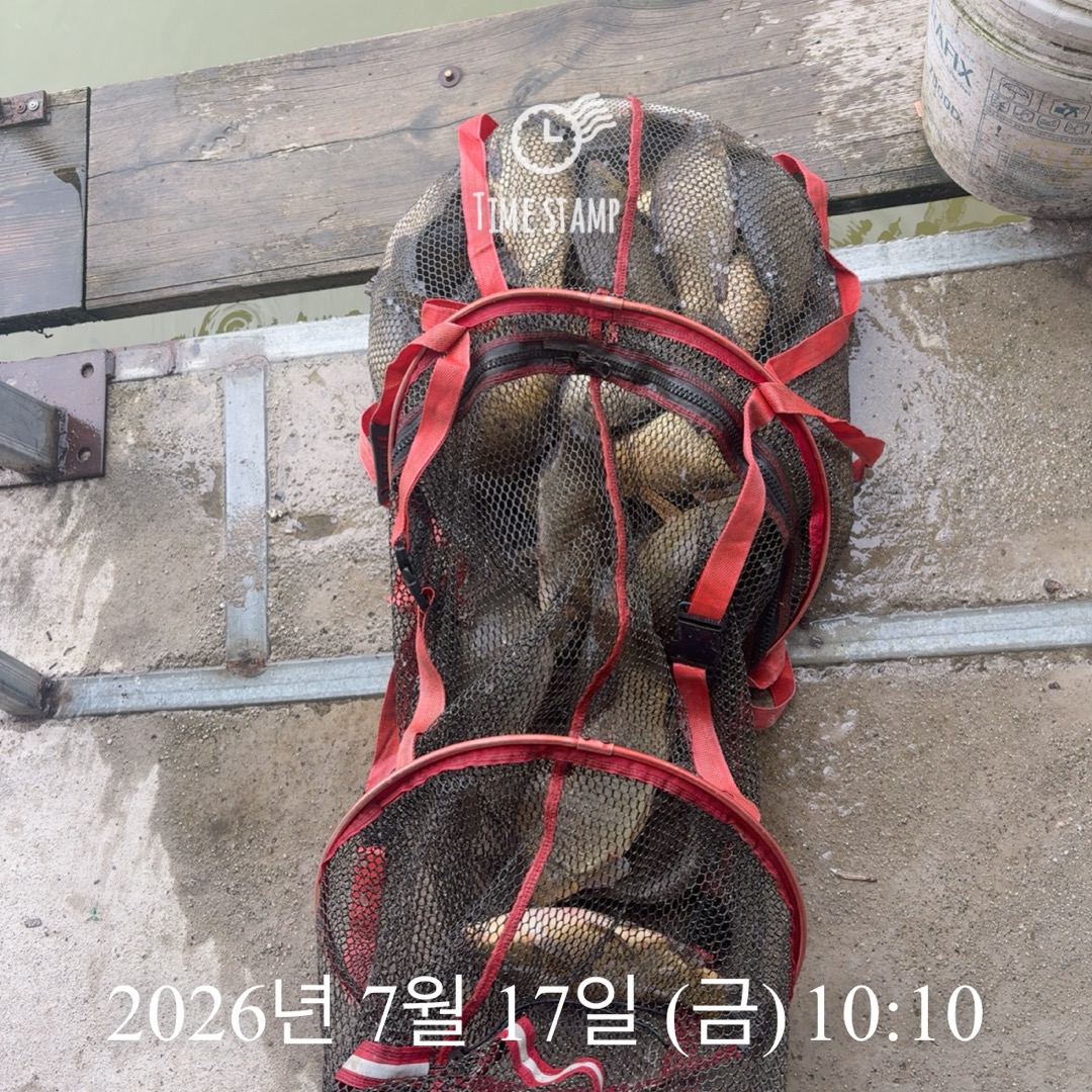 KakaoTalk_20260721_072304981_22.jpg