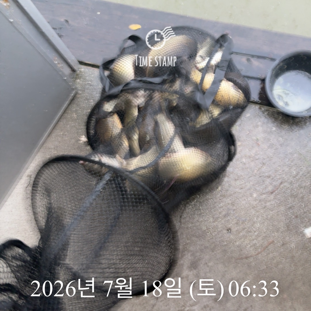 KakaoTalk_20260721_072304981_15.jpg