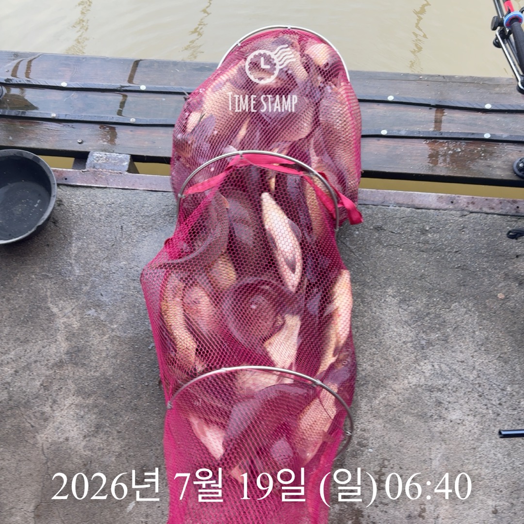 KakaoTalk_20260721_072304981_09.jpg