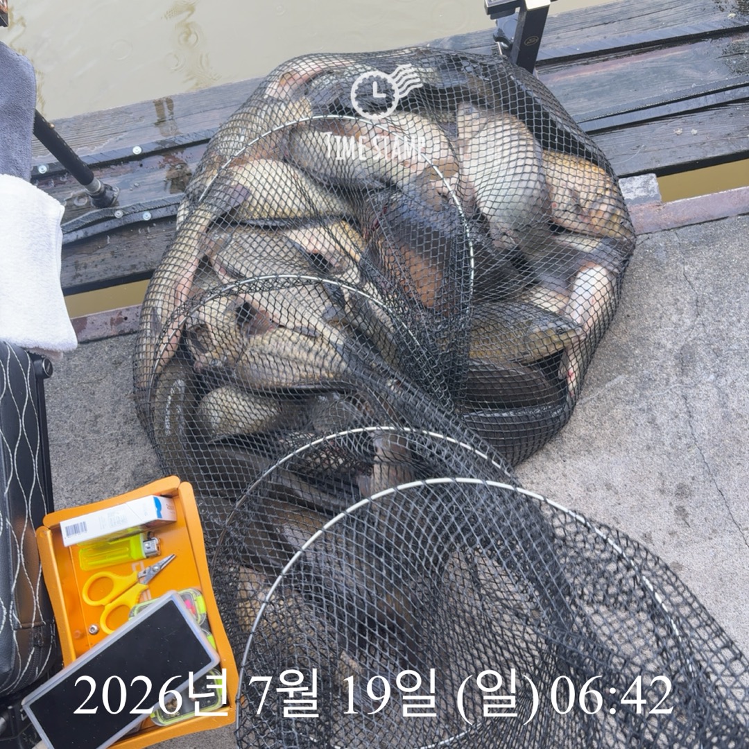KakaoTalk_20260721_072304981_08.jpg