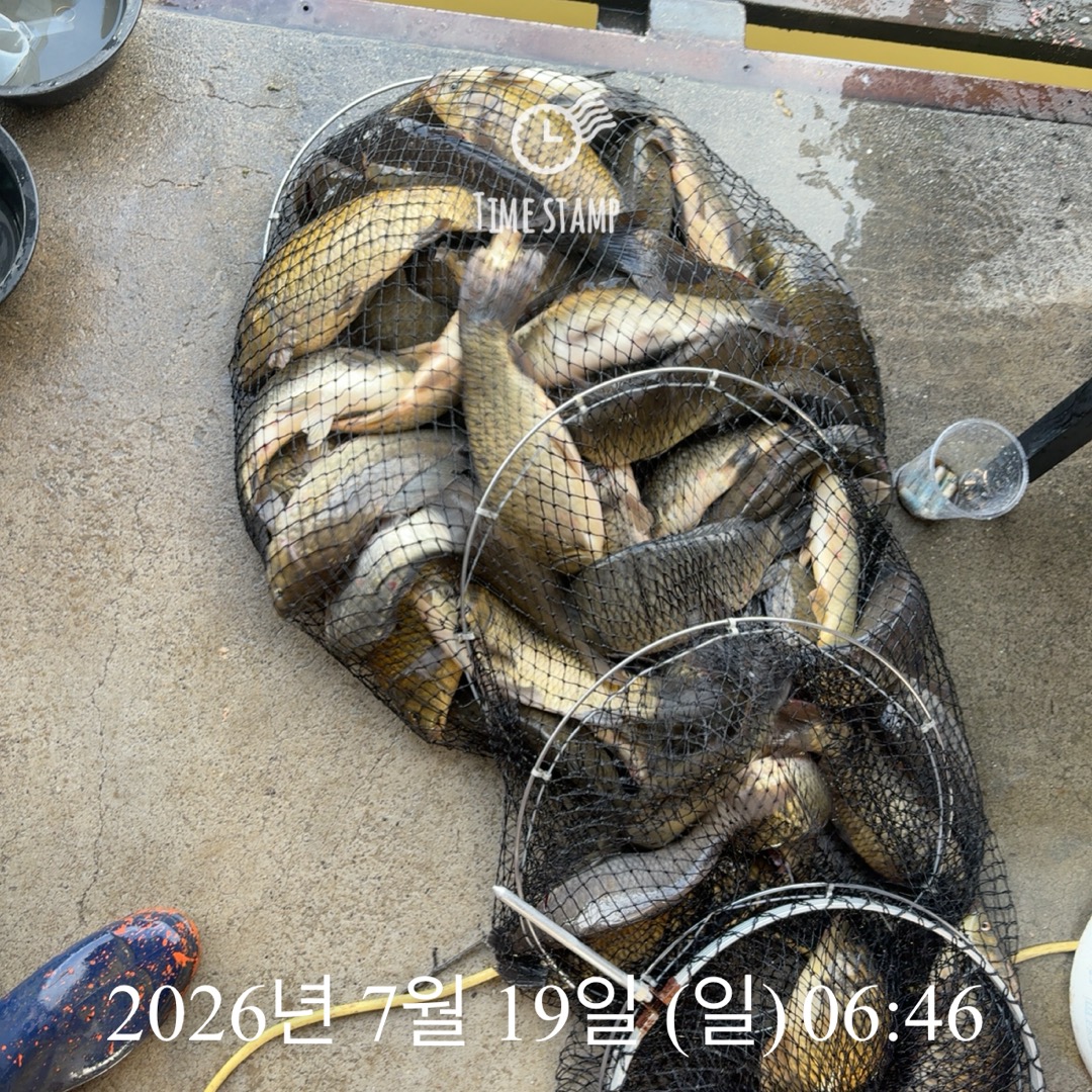 KakaoTalk_20260721_072304981_07.jpg