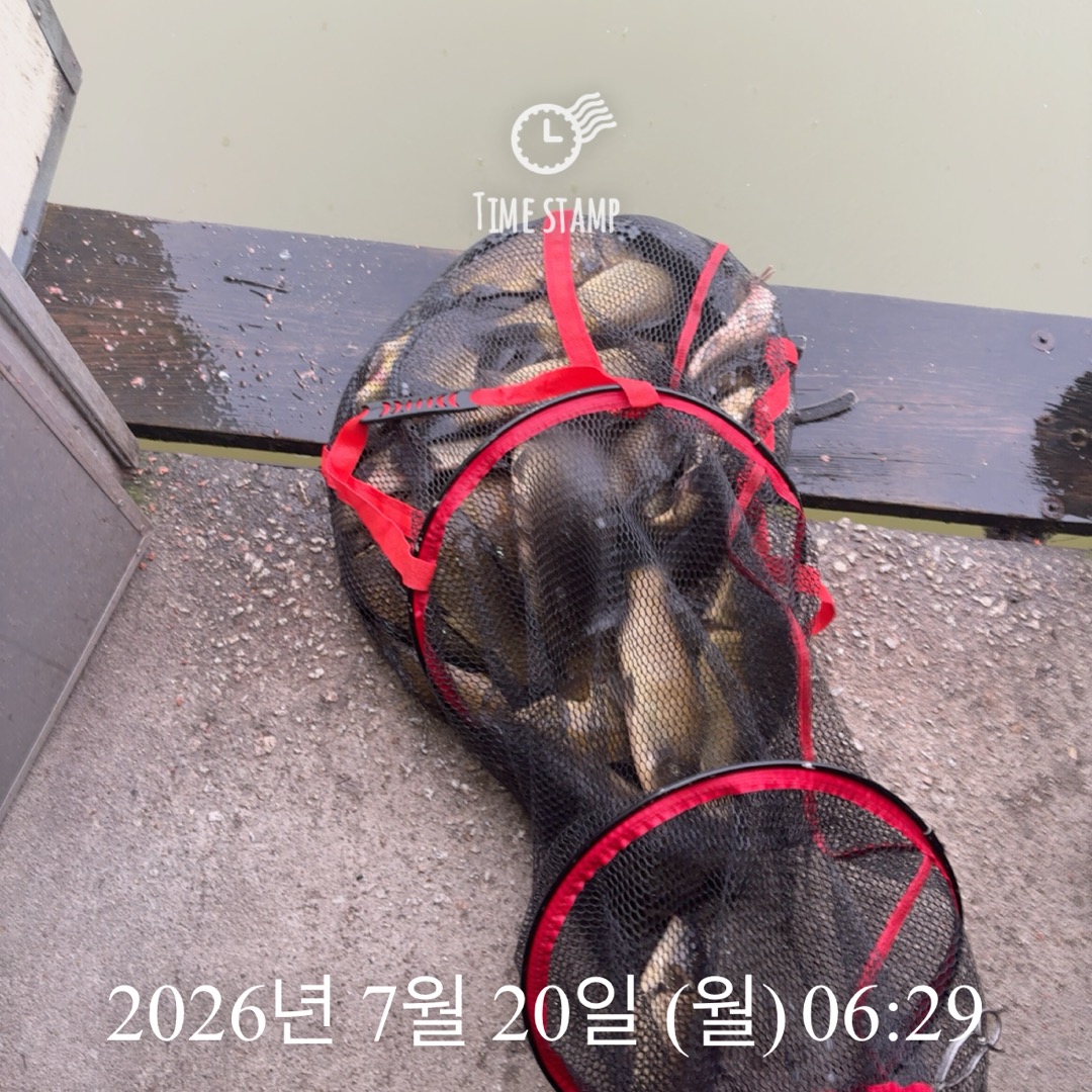 KakaoTalk_20260721_072304981_02.jpg