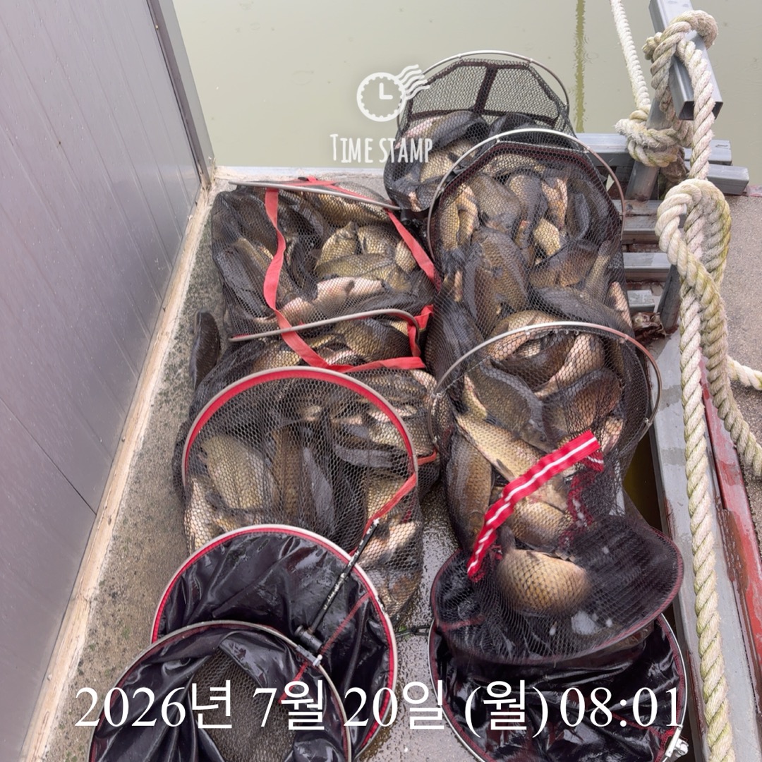 KakaoTalk_20260721_072304981.jpg