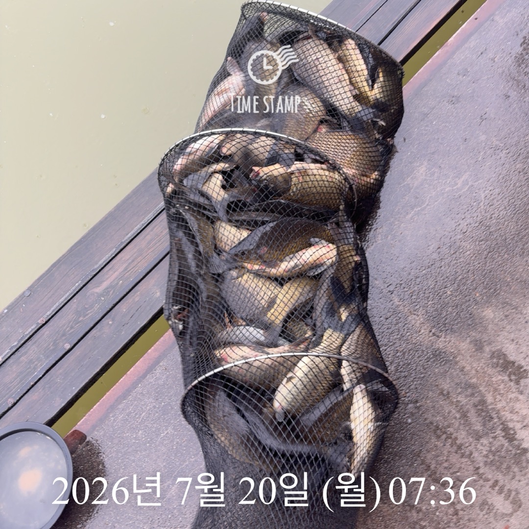 KakaoTalk_20260721_072304981_01.jpg