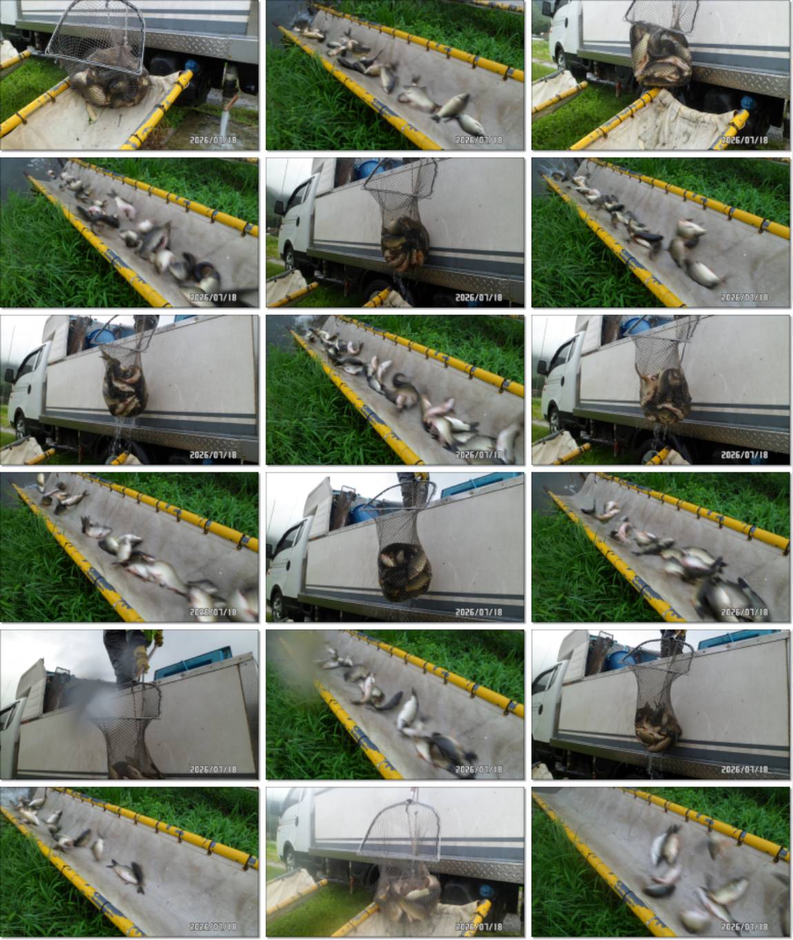 SAM_6669-tile.jpg