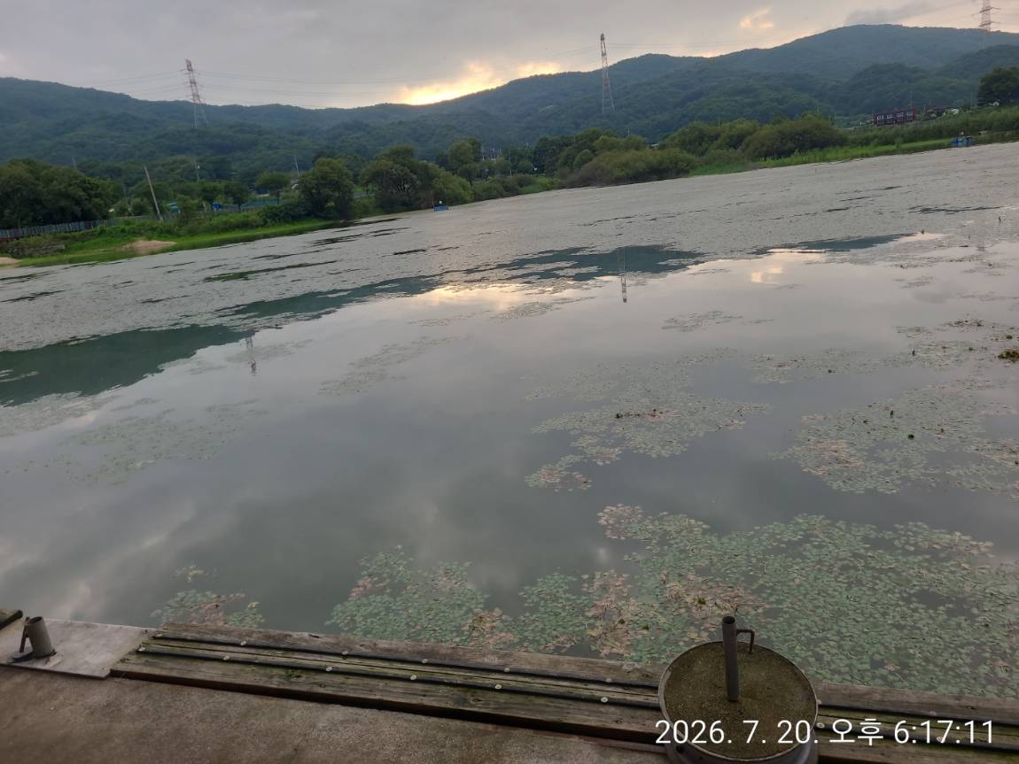 KakaoTalk_20260721_210756621.jpg