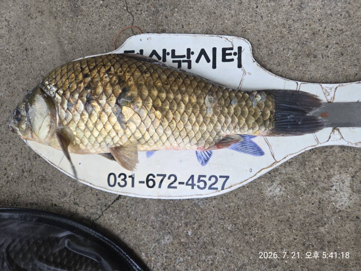 KakaoTalk_20260721_211109043.jpg