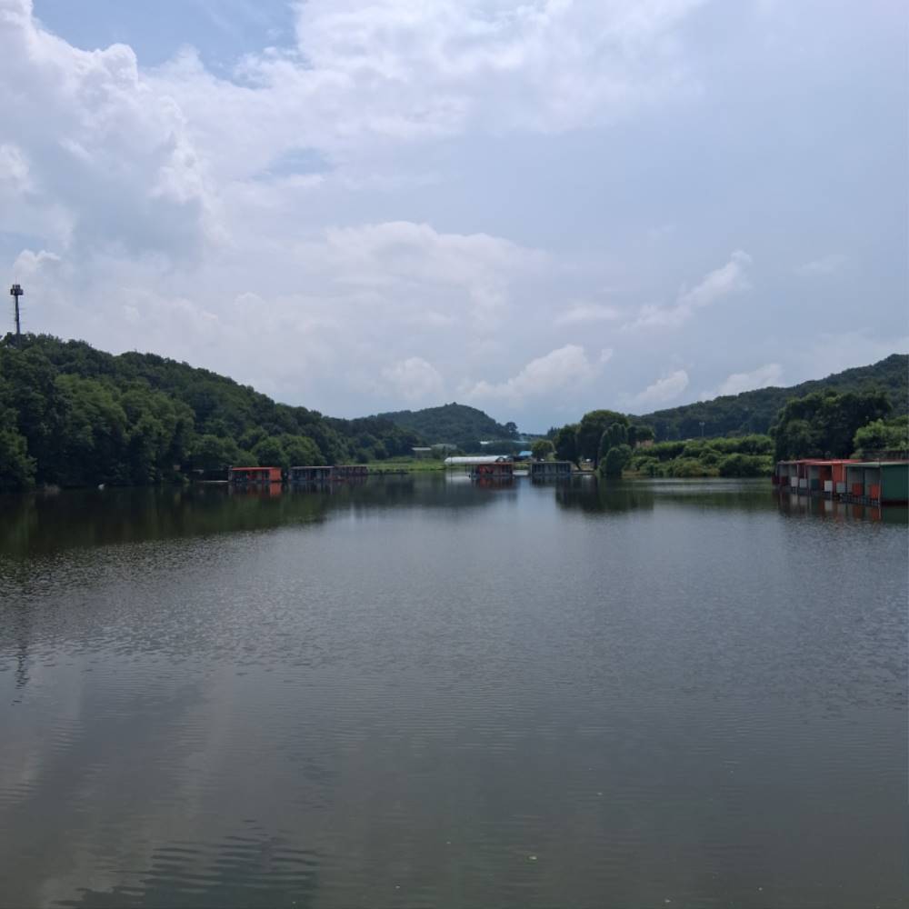 2026-07-22T13_31_57.321.jpg