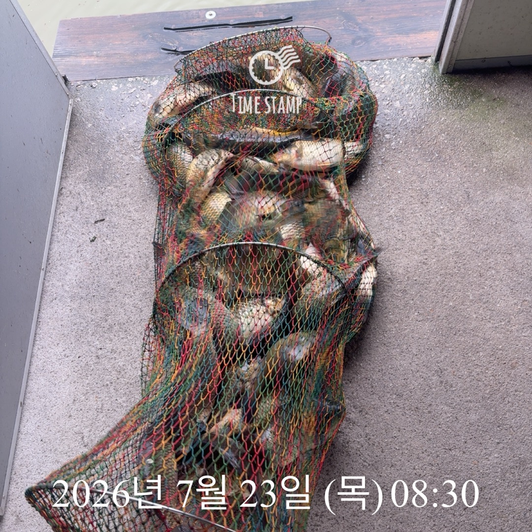 KakaoTalk_20260723_085453259_01.jpg