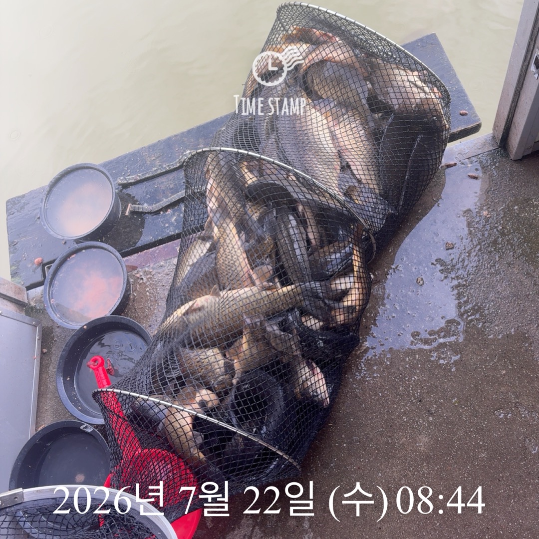 KakaoTalk_20260723_085453259_04.jpg