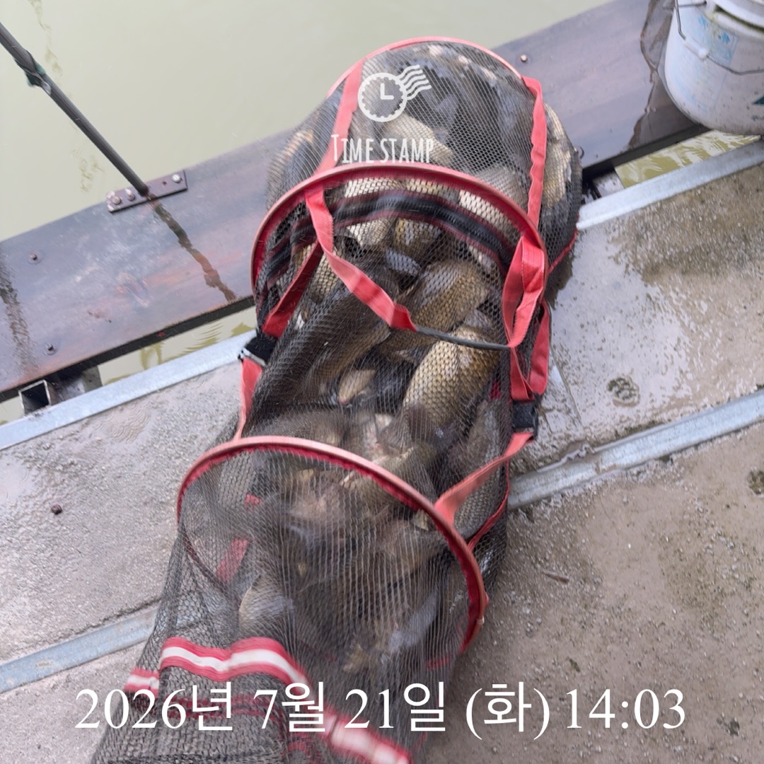 KakaoTalk_20260723_085453259_06.jpg