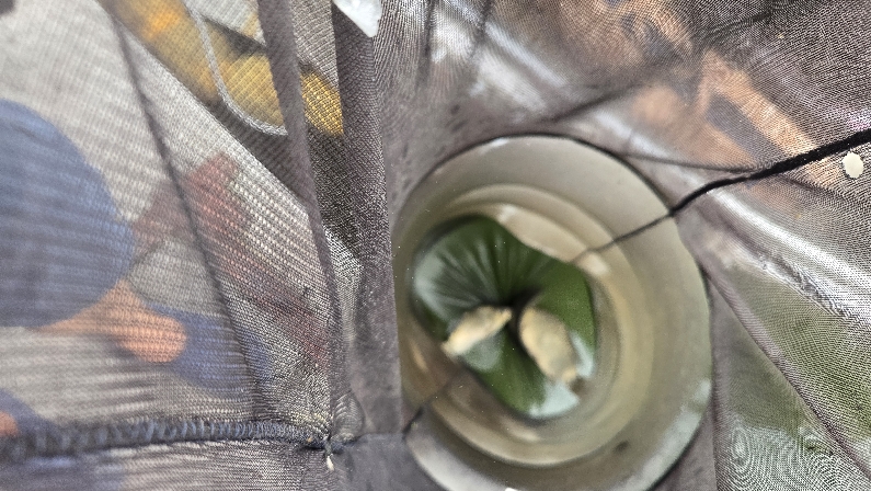 [ũ�⺯ȯ]20260723_101720.jpg
