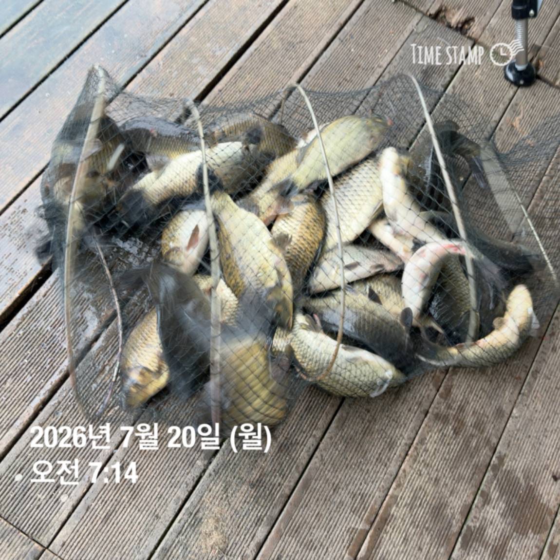 KakaoTalk_20260723_160606967_02.jpg