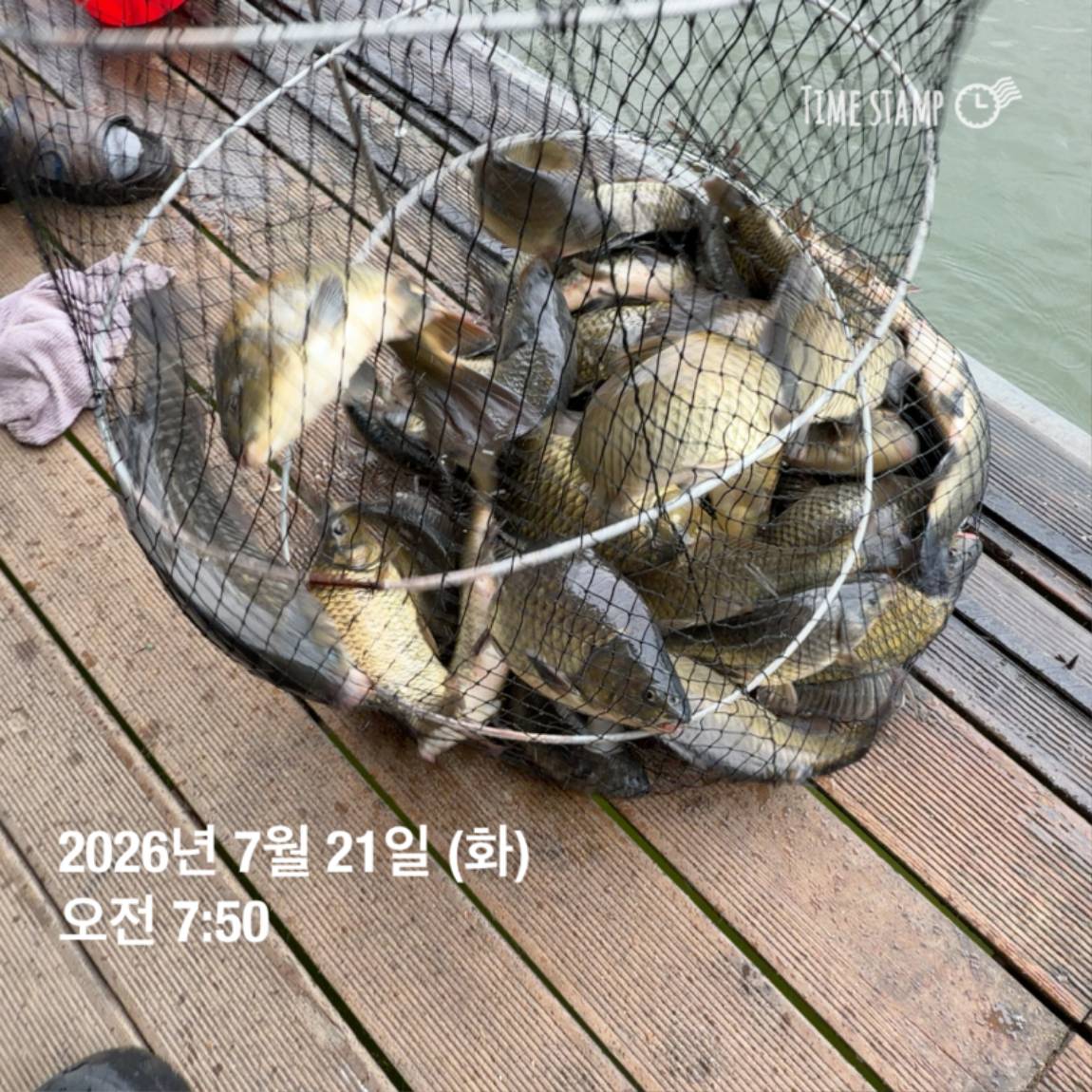 KakaoTalk_20260723_160606967_04.jpg