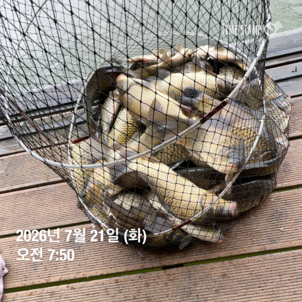 KakaoTalk_20260723_160606967_05.jpg
