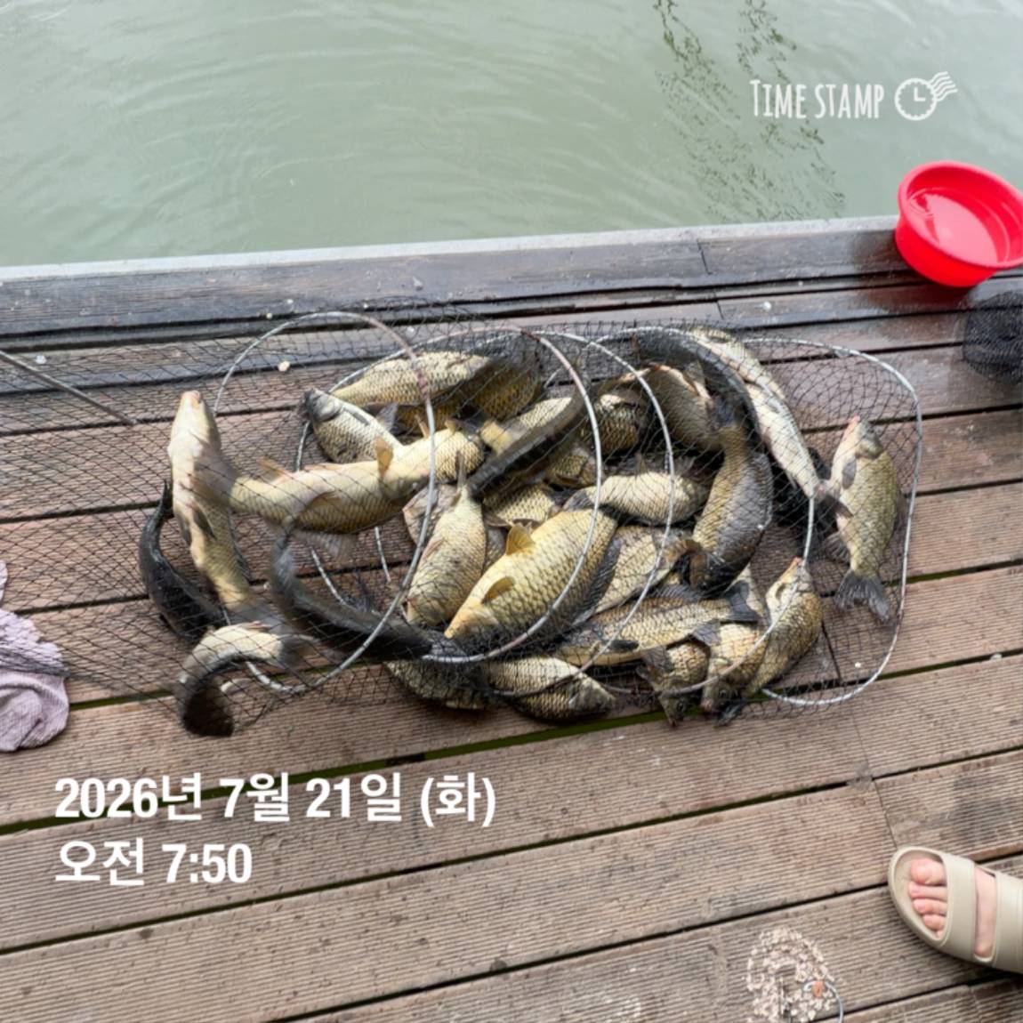 KakaoTalk_20260723_160606967_06.jpg