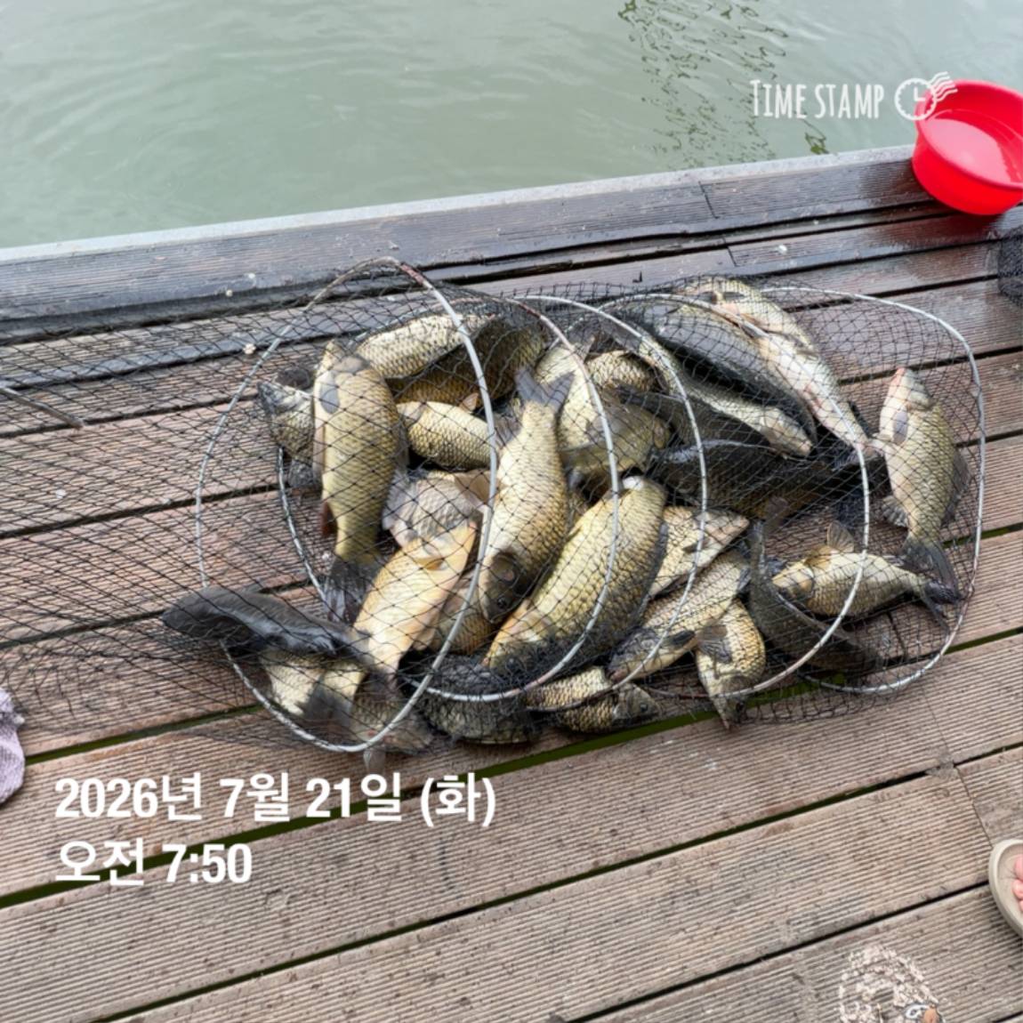 KakaoTalk_20260723_160606967_07.jpg