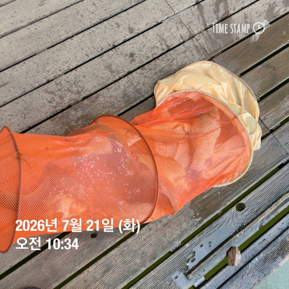 KakaoTalk_20260723_160606967_11.jpg