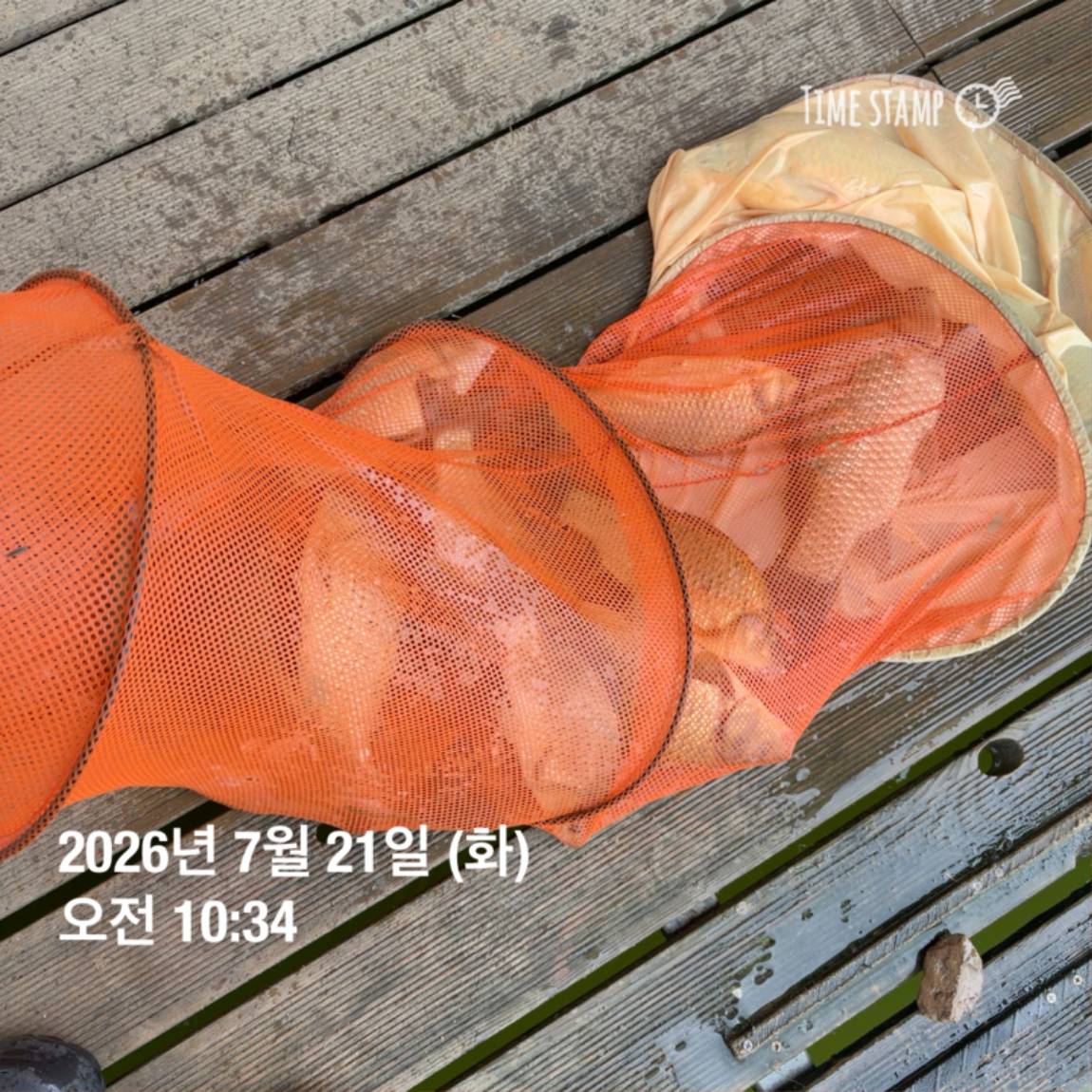 KakaoTalk_20260723_160606967_12.jpg