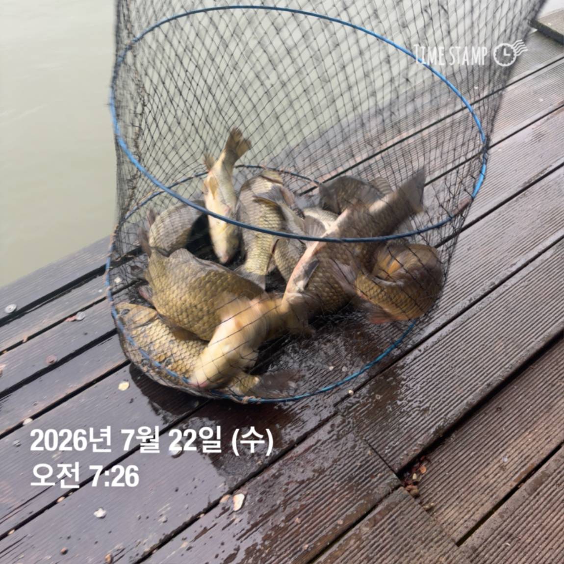 KakaoTalk_20260723_160606967_13.jpg