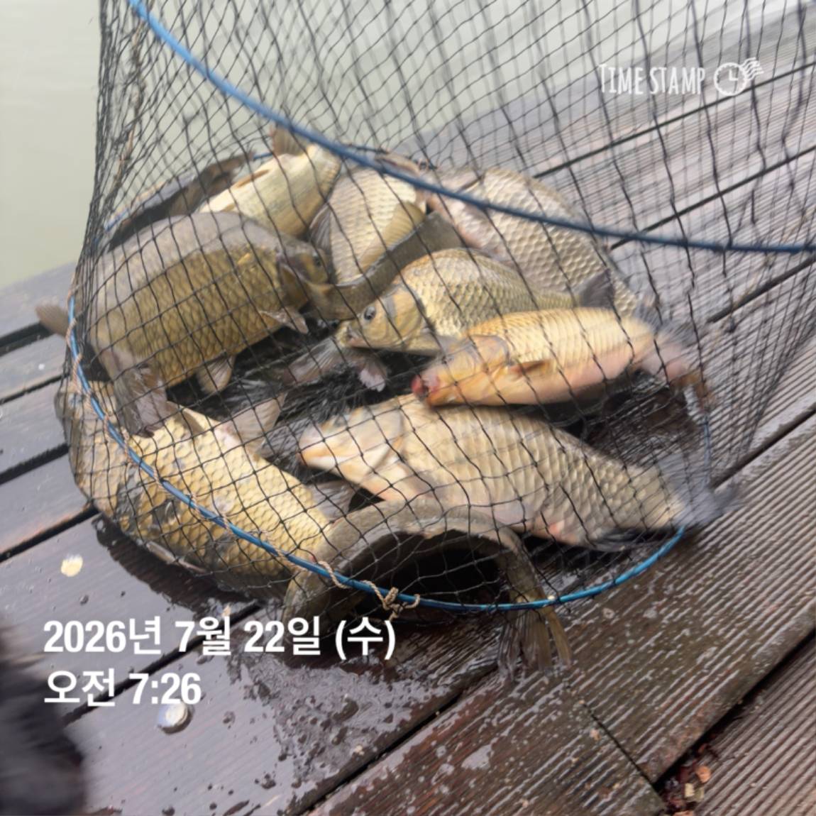 KakaoTalk_20260723_160606967_14.jpg
