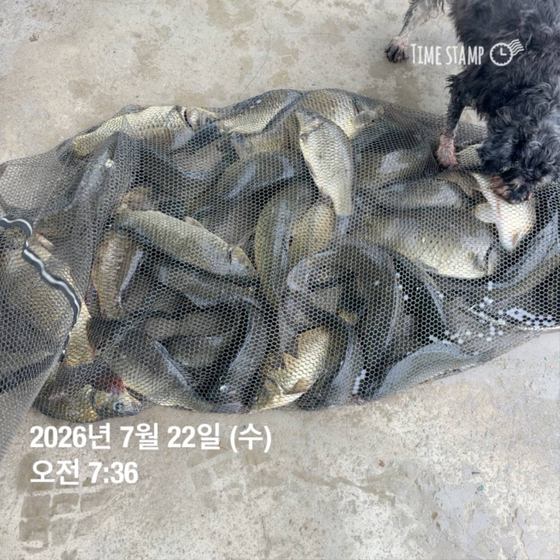 KakaoTalk_20260723_160606967_16.jpg