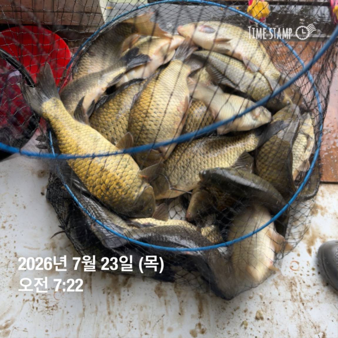 KakaoTalk_20260723_160606967_18.jpg