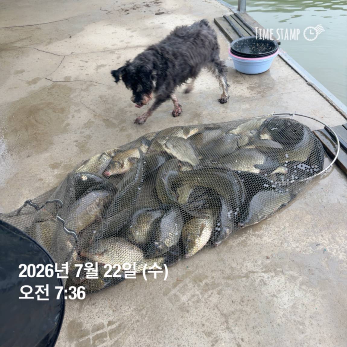 KakaoTalk_20260723_160606967_17.jpg