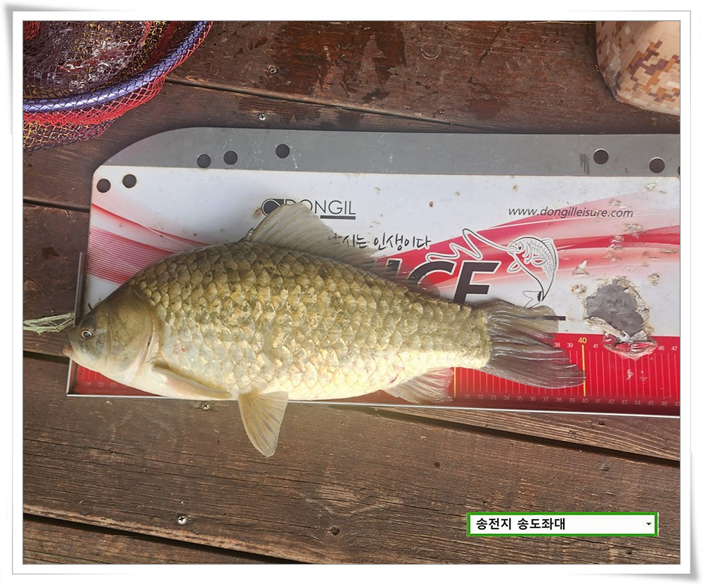 DDKZ5942_1.jpg