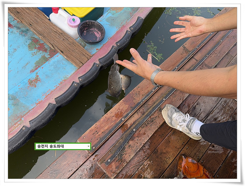 IMG_4738_1.jpg