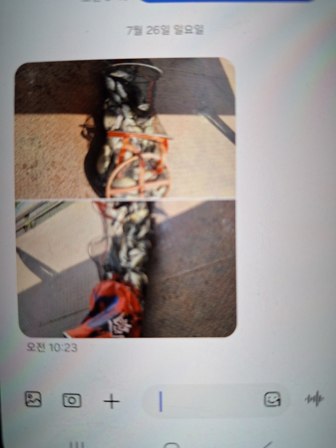 KakaoTalk_20260727_112506481_02.jpg