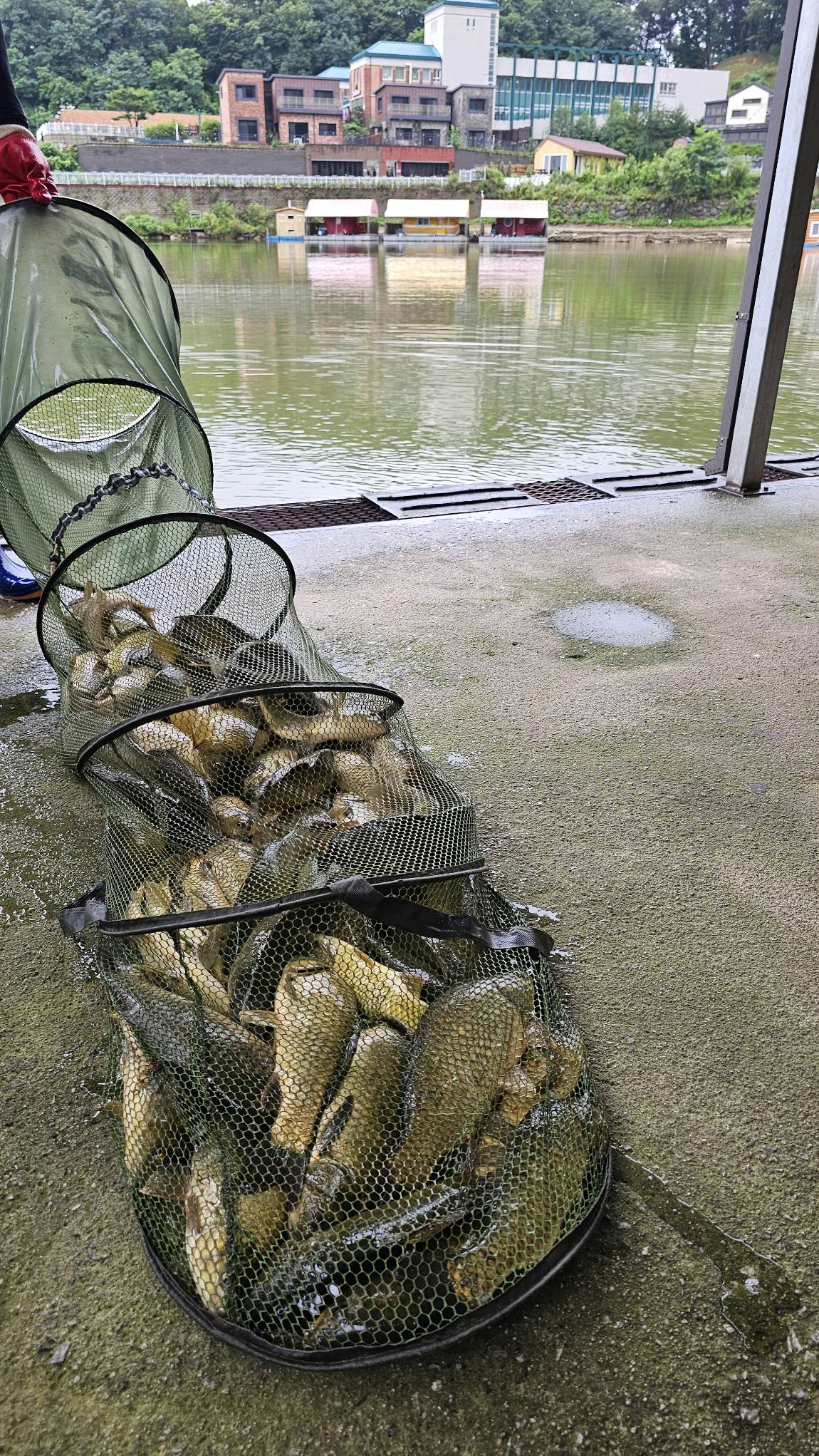20260722_083436.jpg