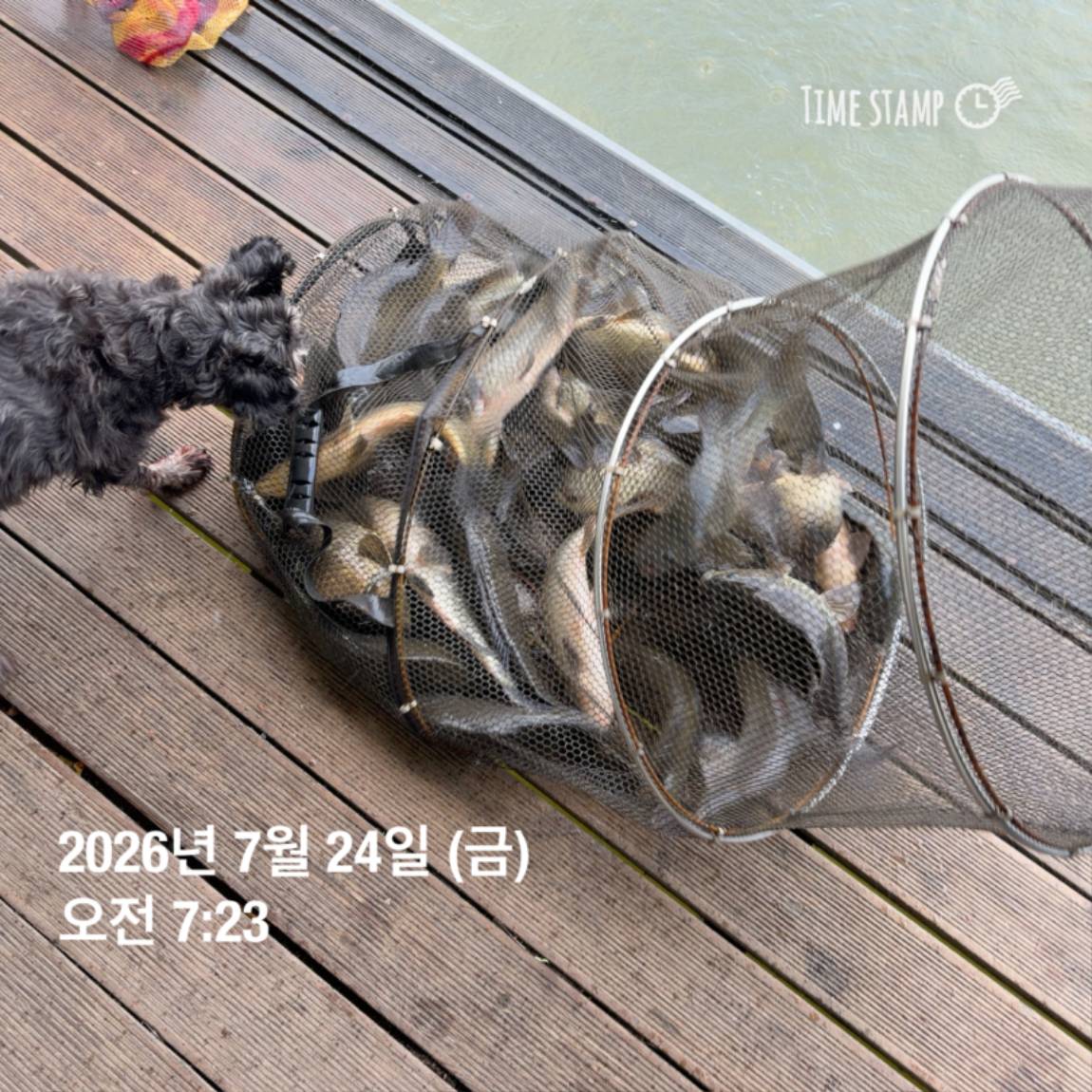 KakaoTalk_20260727_155936773_02.jpg