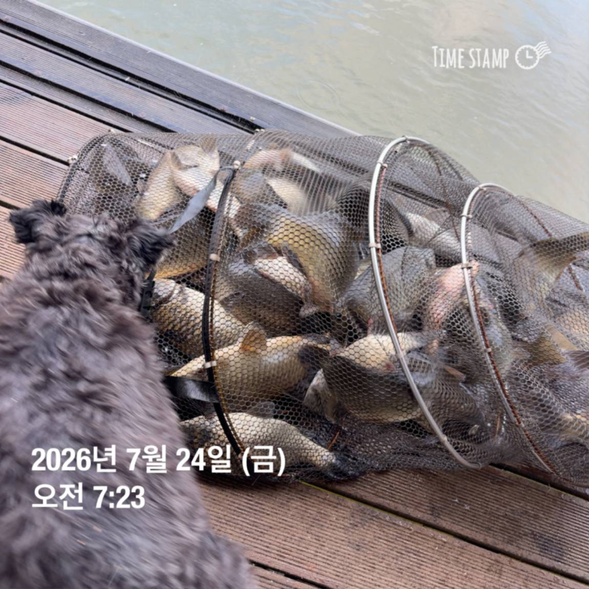 KakaoTalk_20260727_155936773_04.jpg