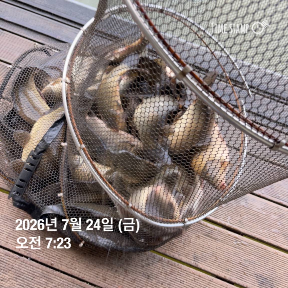 KakaoTalk_20260727_155936773_03.jpg