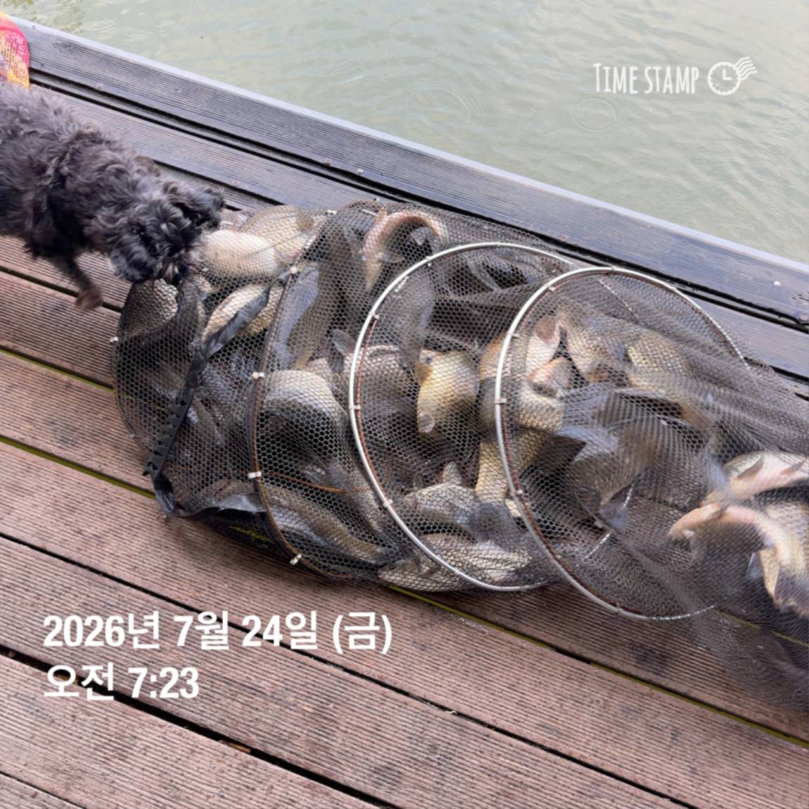 KakaoTalk_20260727_155936773_05.jpg