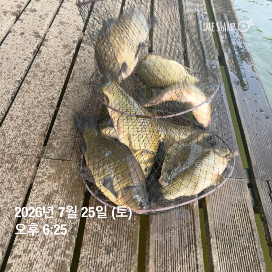 KakaoTalk_20260727_155936773_06.jpg