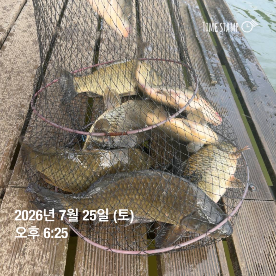 KakaoTalk_20260727_155936773_07.jpg