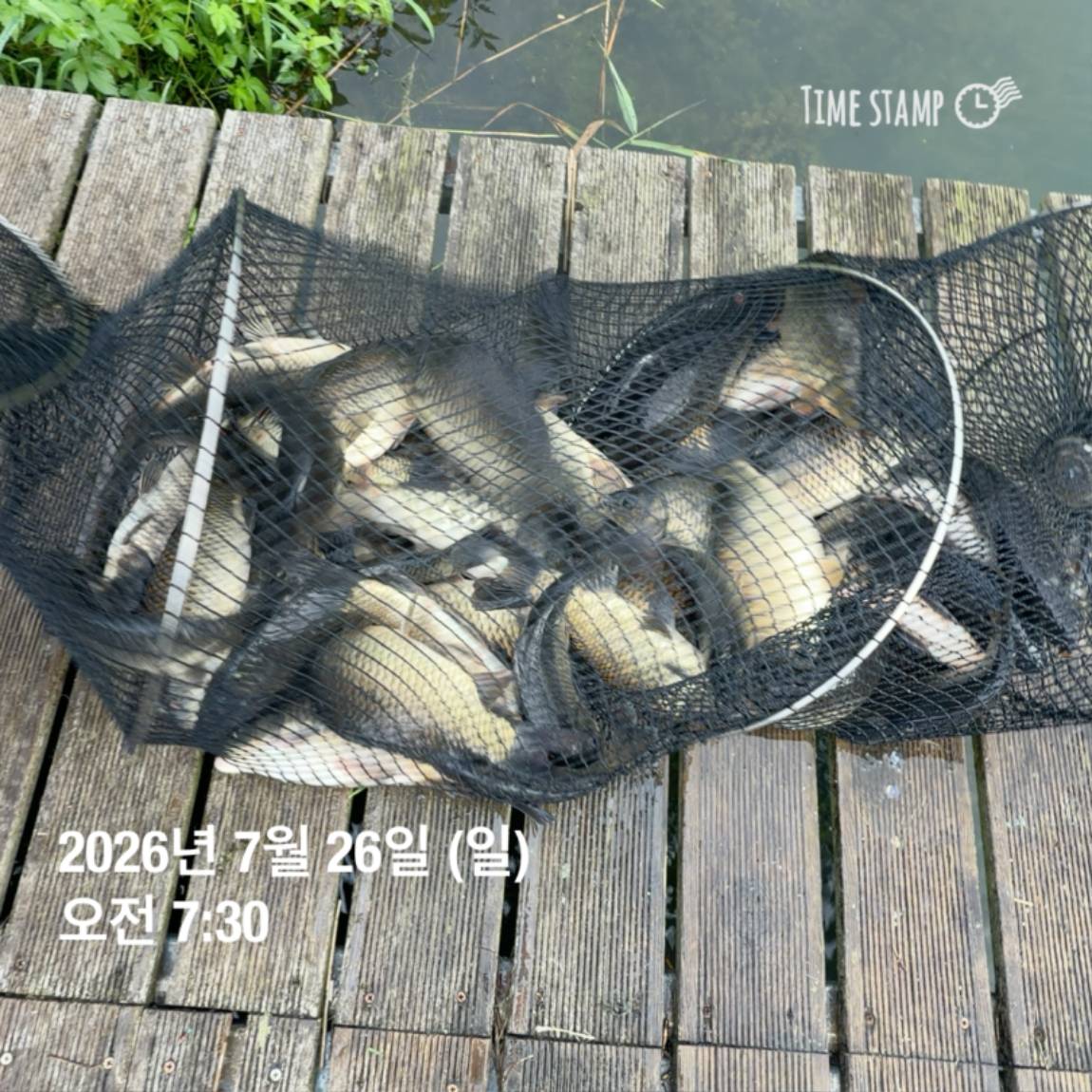 KakaoTalk_20260727_155936773_09.jpg