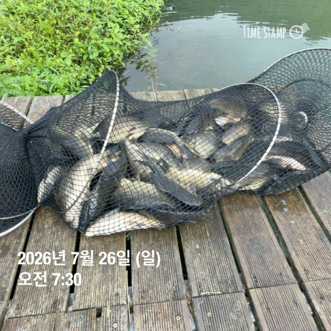 KakaoTalk_20260727_155936773_10.jpg