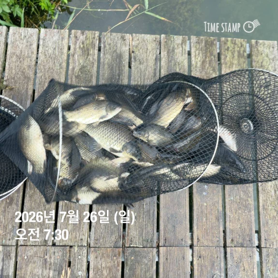 KakaoTalk_20260727_155936773_11.jpg