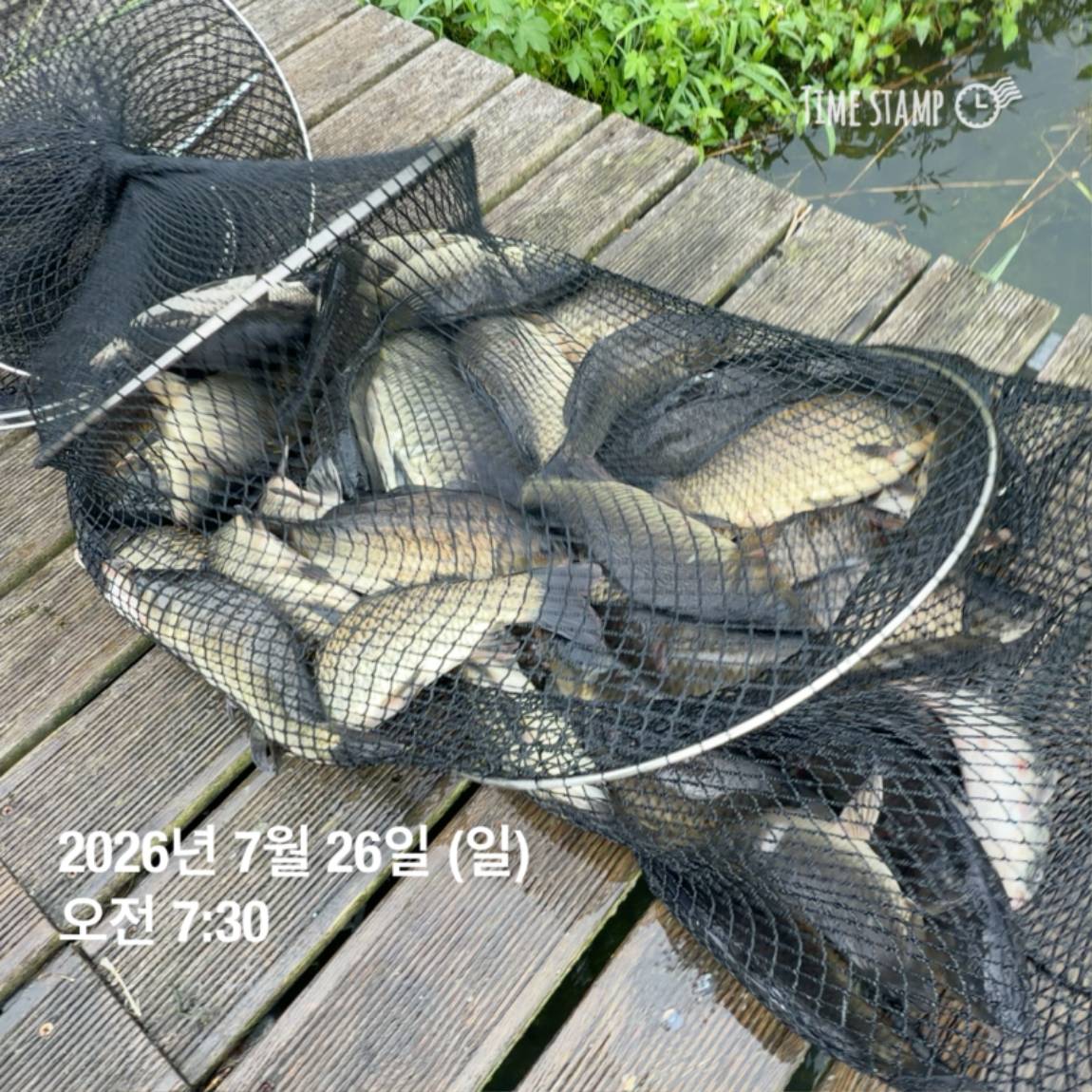 KakaoTalk_20260727_155936773_12.jpg