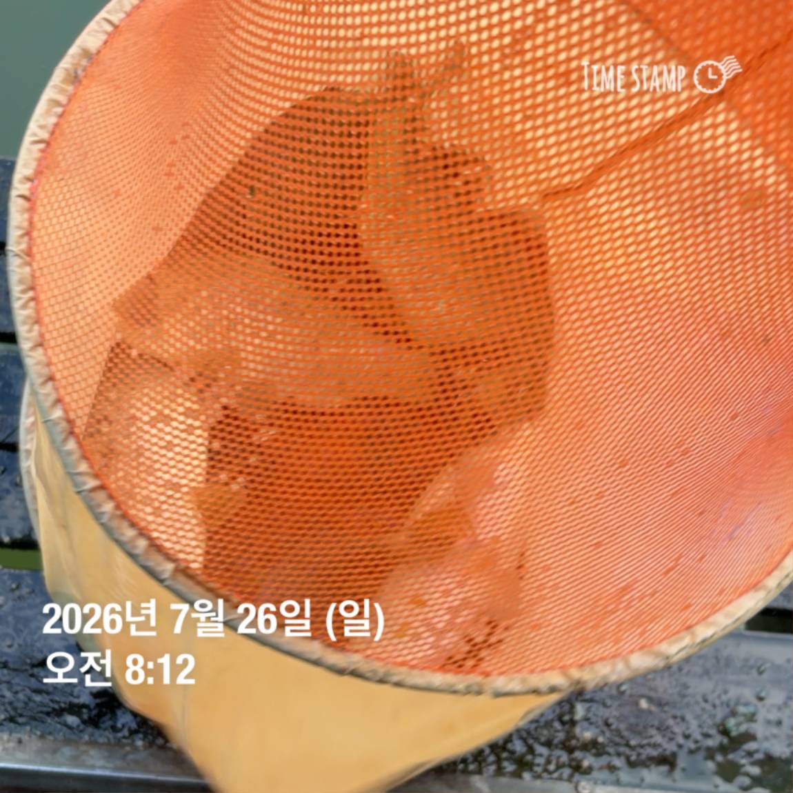 KakaoTalk_20260727_155936773_14.jpg