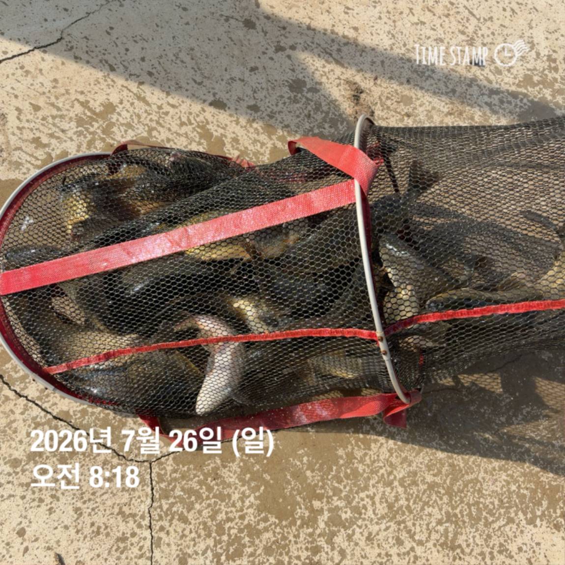 KakaoTalk_20260727_155936773_16.jpg