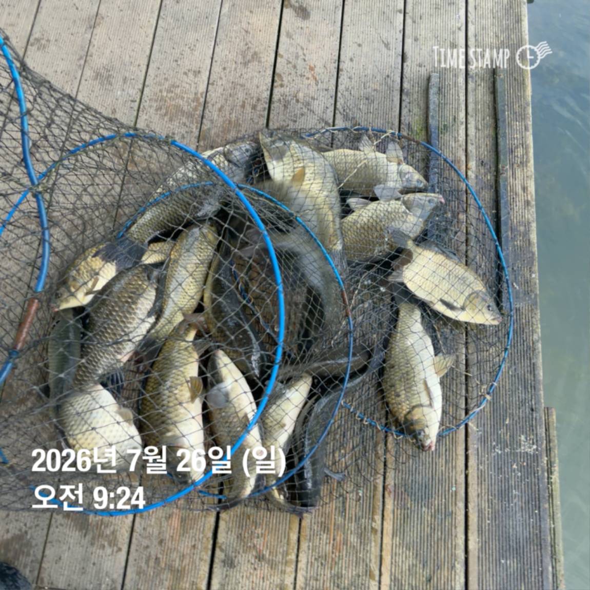 KakaoTalk_20260727_155936773_19.jpg
